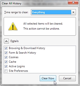 在Firefox中清除Internet文件