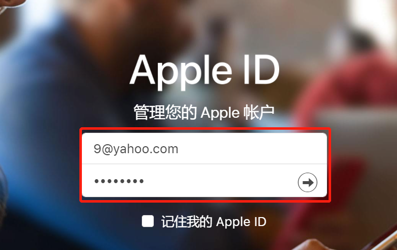 重置Apple ID电子邮件