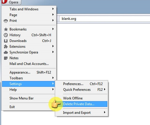 擦除Opera中的cookie