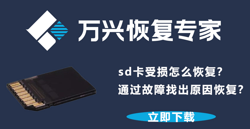 日韩免费视频观看恢复专家