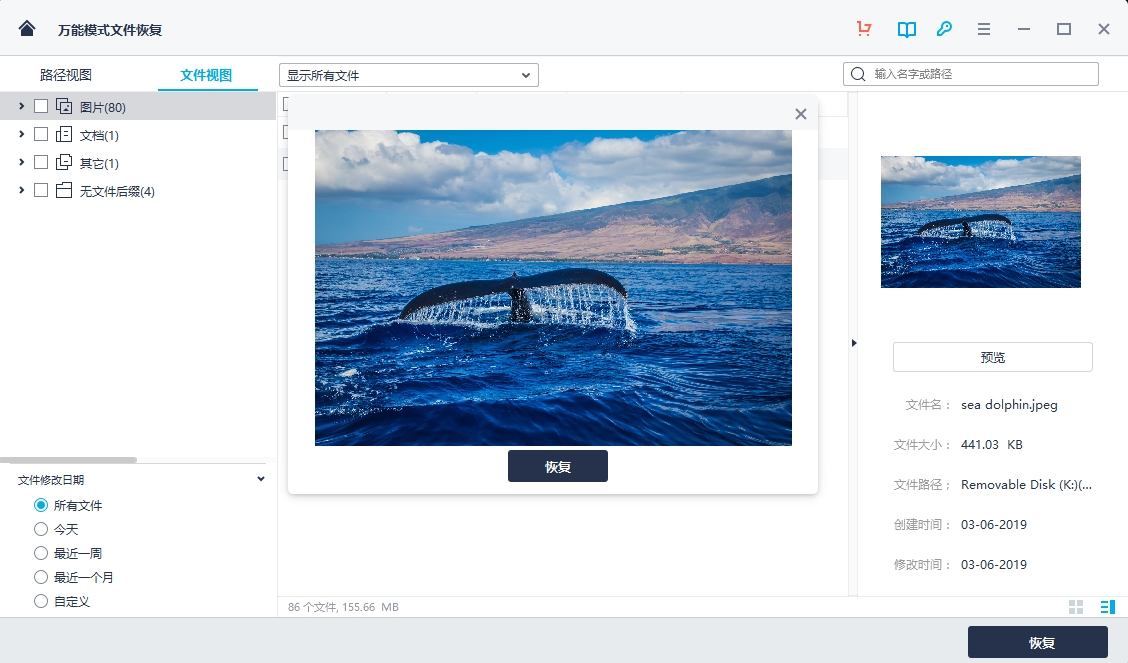 最好的视频恢复