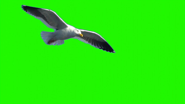 画中画智能抠像怎样抠