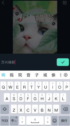日韩免费视频观看喵影-手机端快速编辑字幕