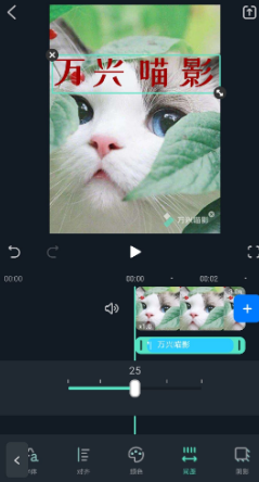 手机端快速编辑字幕-文本编辑