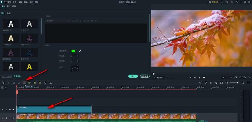 添加文字特效提升视频效果