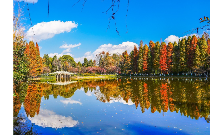 春节去哪旅游最好-云南