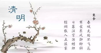 清明节文案-清明节文案的重要性