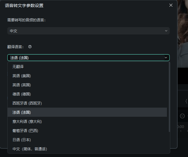 视频翻译-设置参数