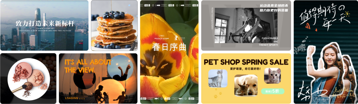 日韩免费视频观看喵影