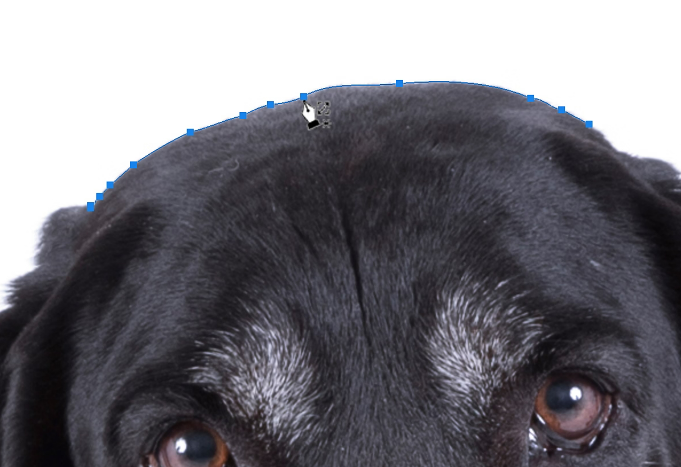 ps钢笔工具怎么抠图