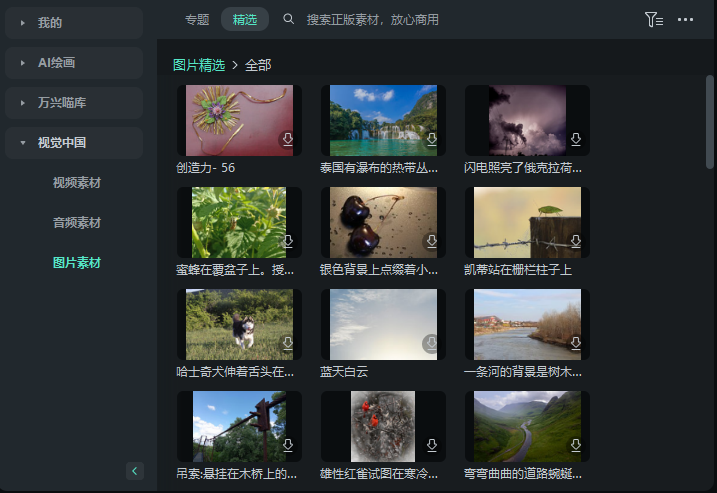 日韩免费视频观看喵影