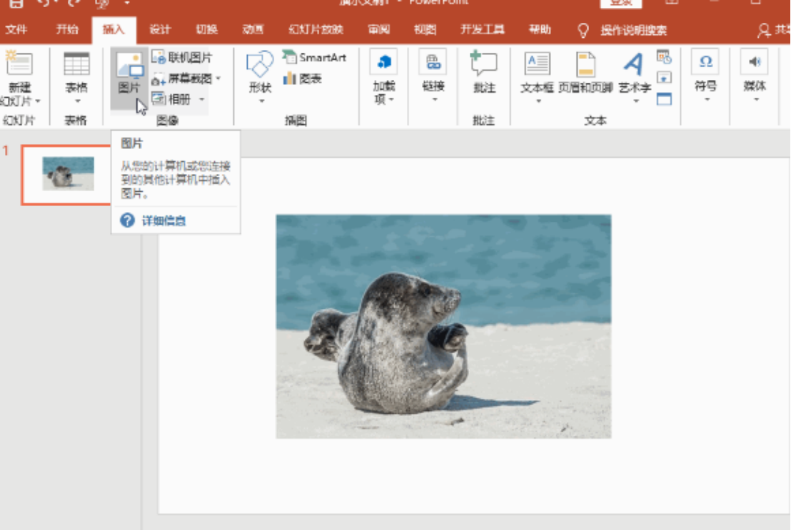 步骤一：插入图片
