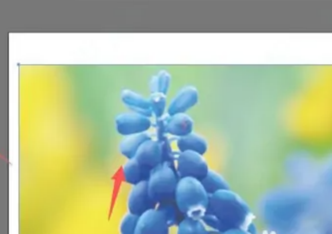 步骤一：新建画布