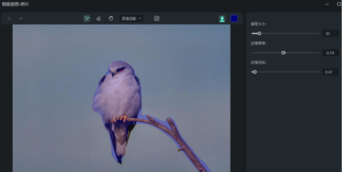 步骤三：主体抠图