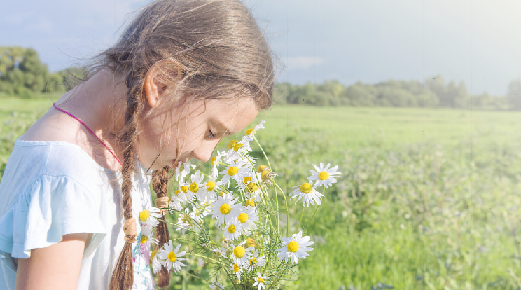 哪里有电子相册制作教程