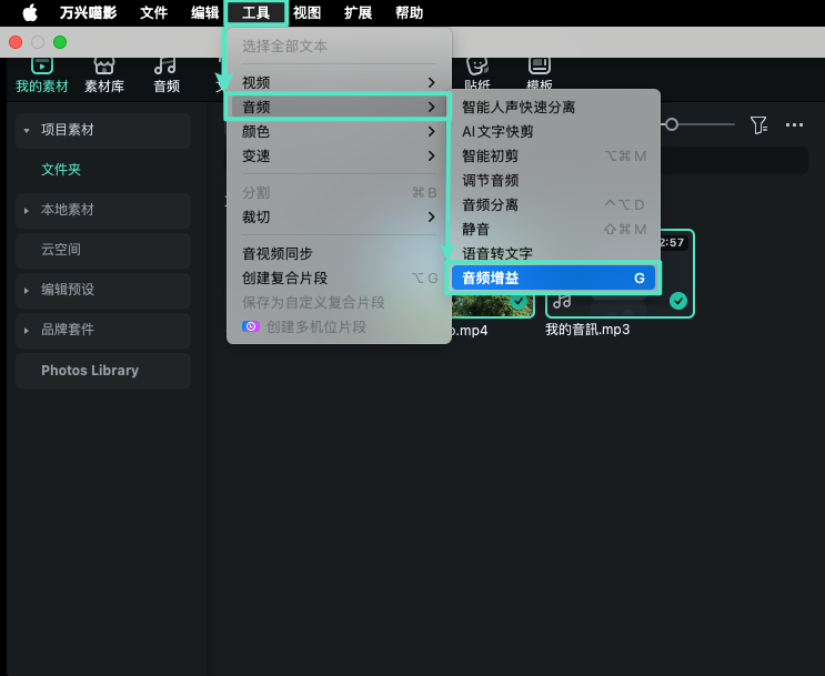 通过工具菜单访问音频增益