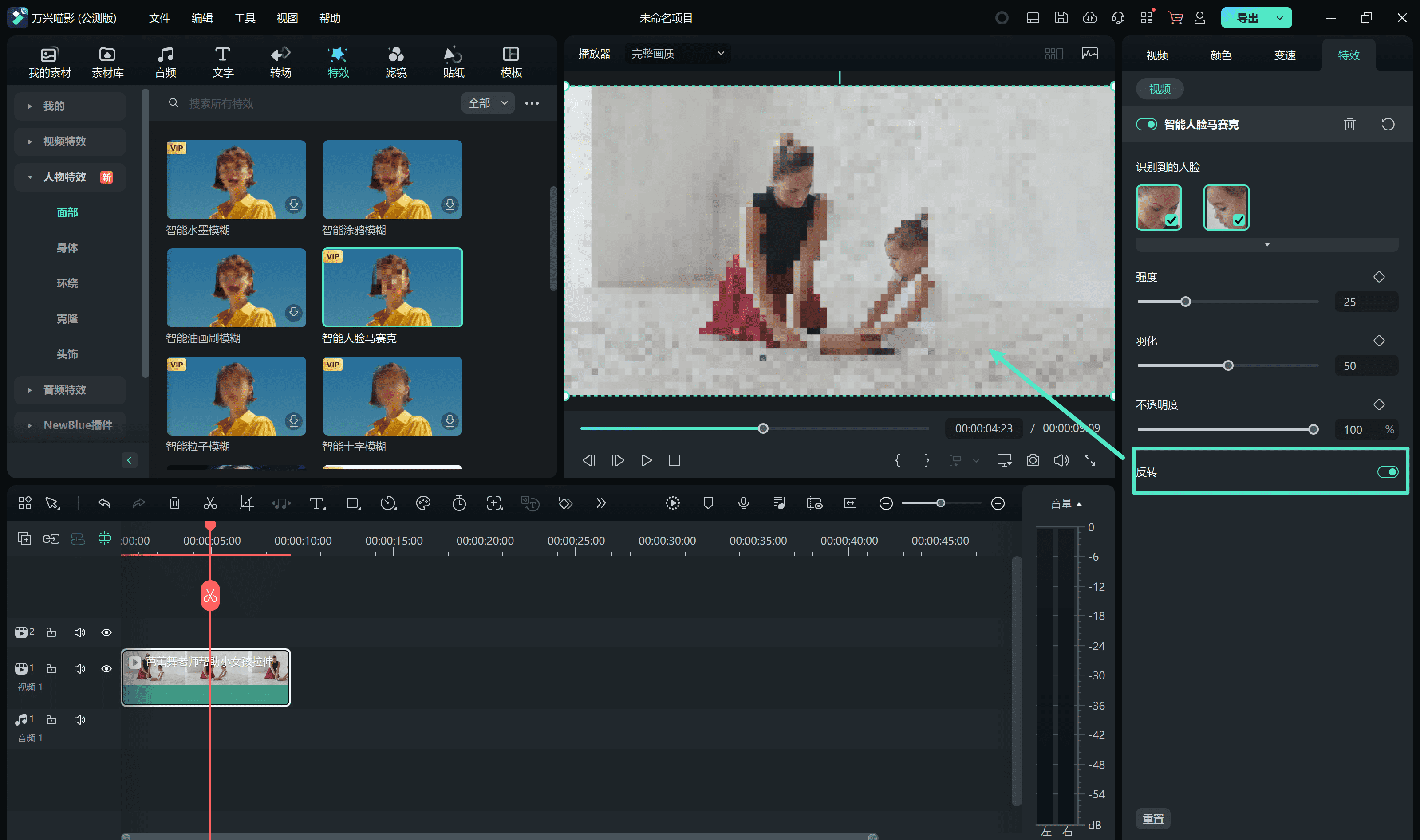 应用马赛克效果
