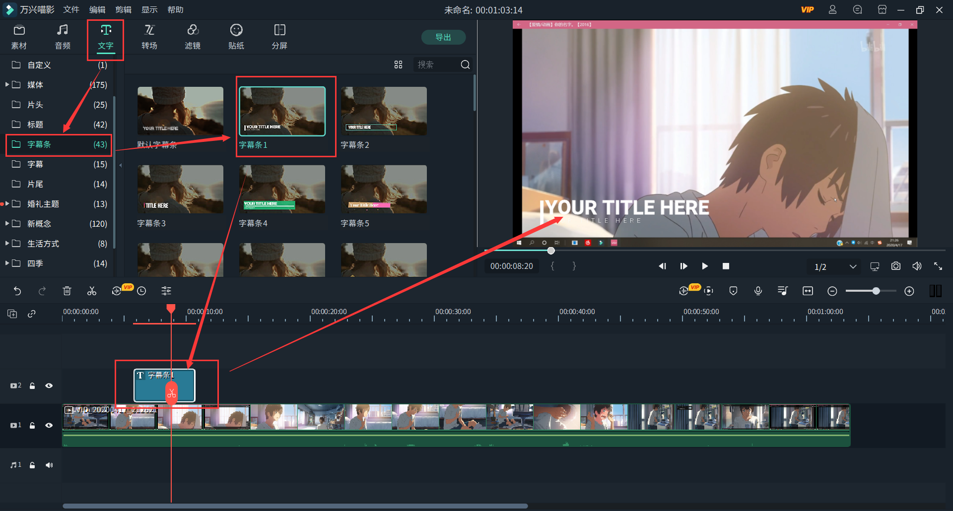 日韩免费视频观看喵影