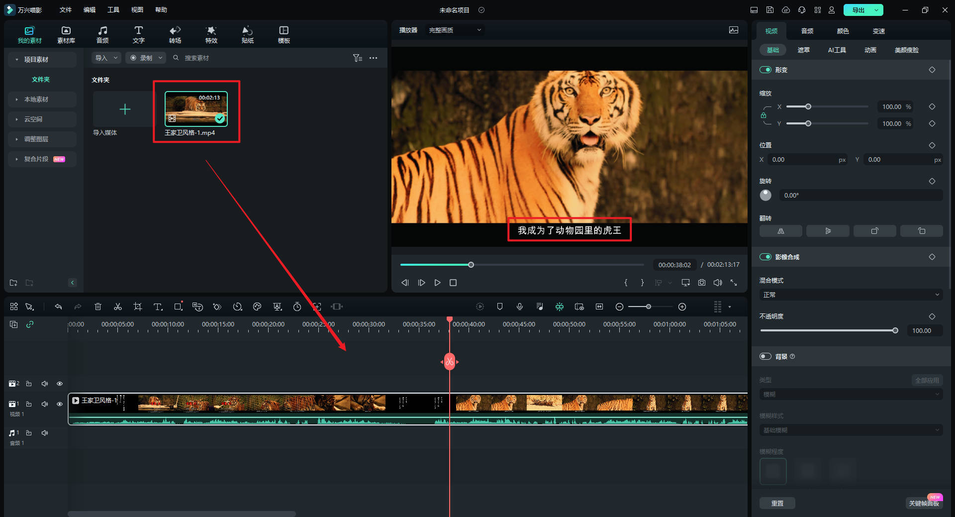 日韩免费视频观看喵影
