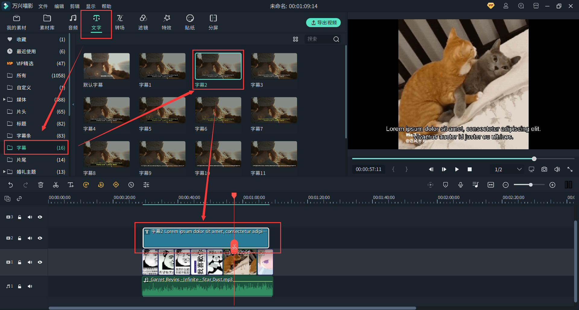日韩免费视频观看喵影