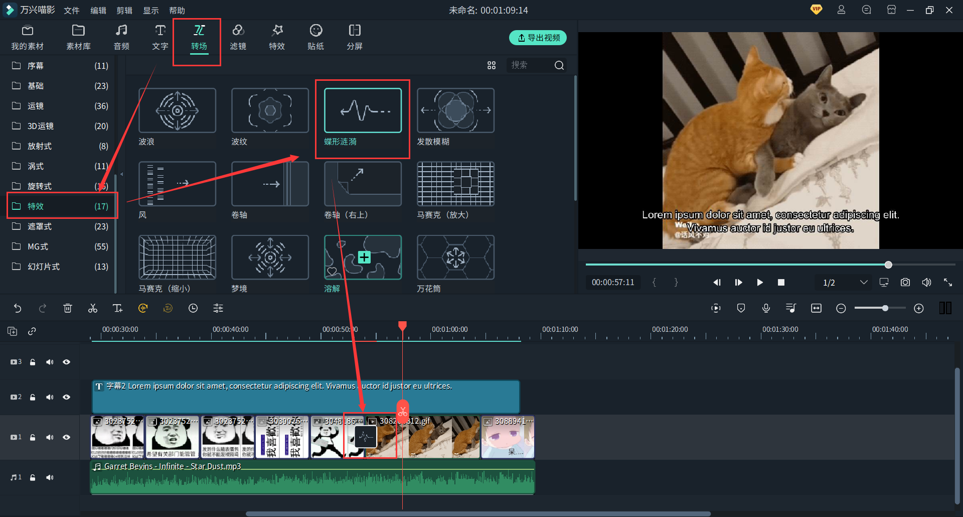 日韩免费视频观看喵影
