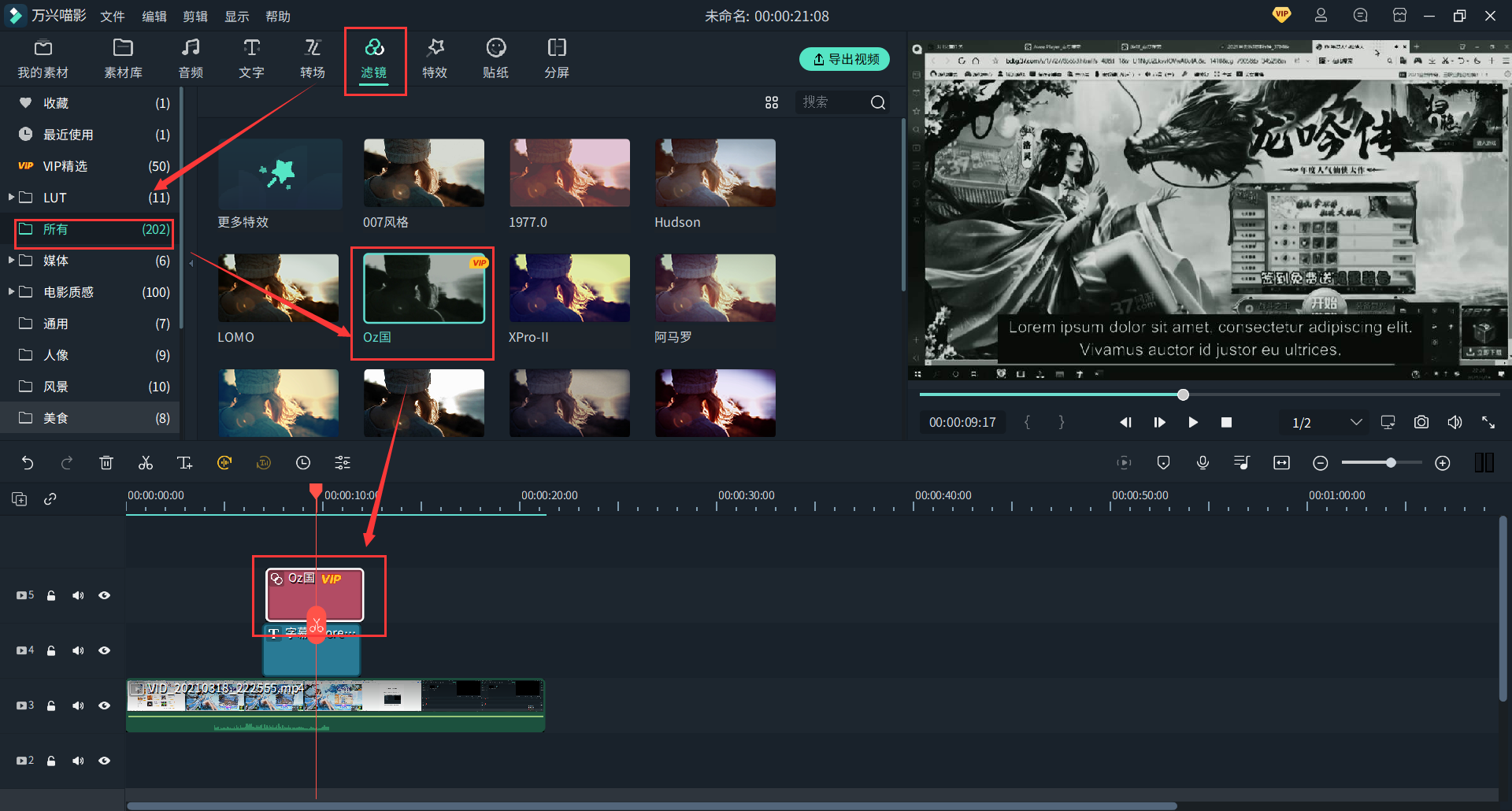 日韩免费视频观看喵影