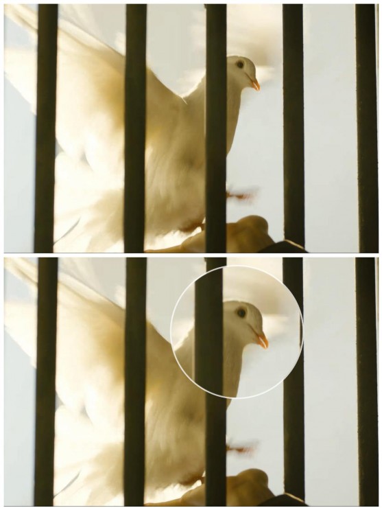 放大镜滤镜介绍