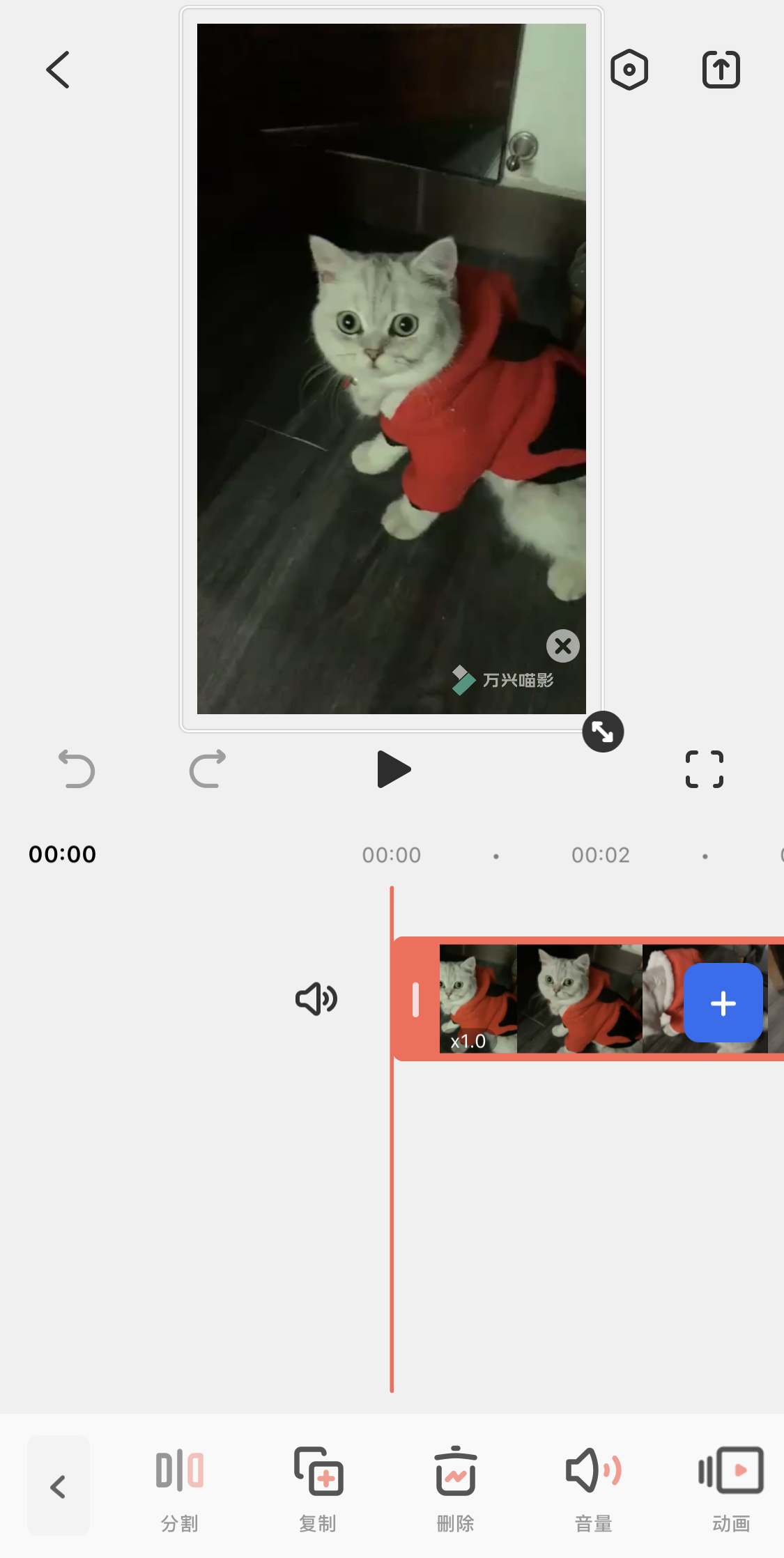 如何制作宠物视频