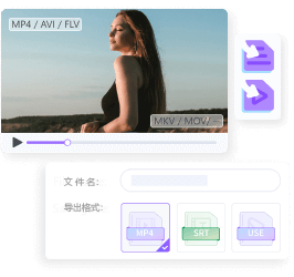 multiple video and subtitle formats