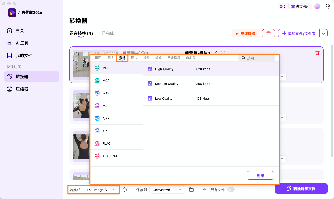 选择所需的音频格式