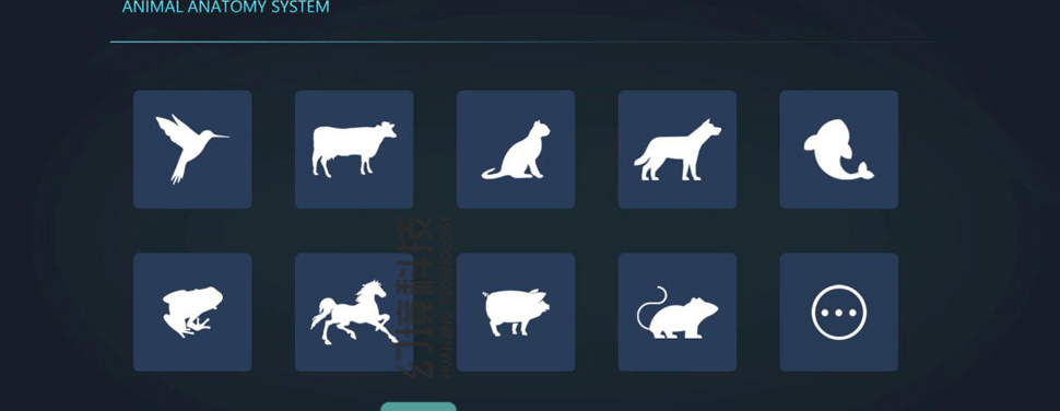 虚拟数字人能做动物吗