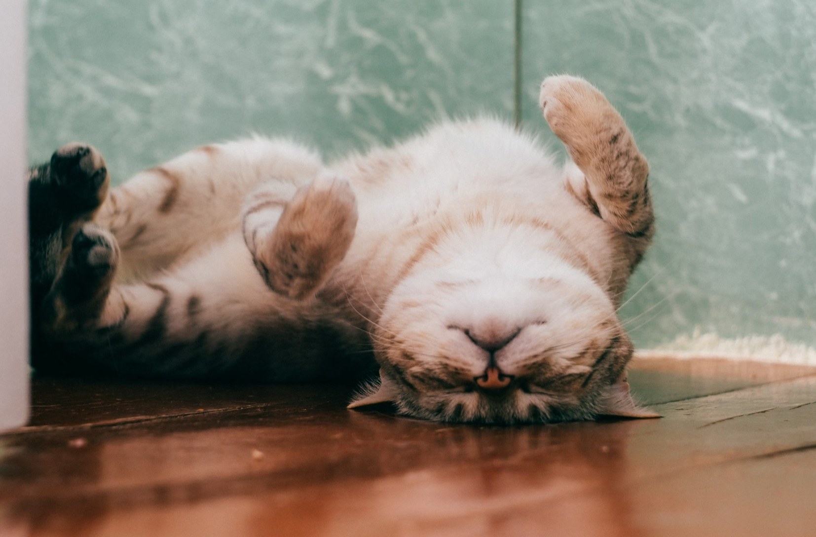 搞笑视频标题怎么写吸引人