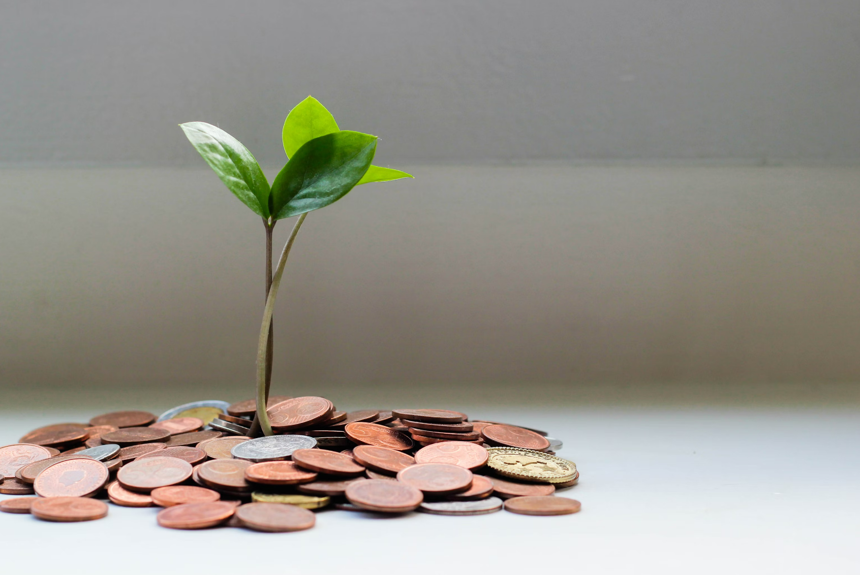 视频号怎么做有收益的