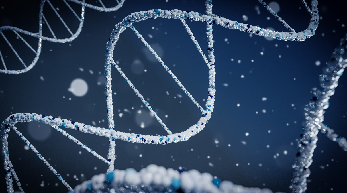 科普短视频怎么做的-科普类视频制作方法